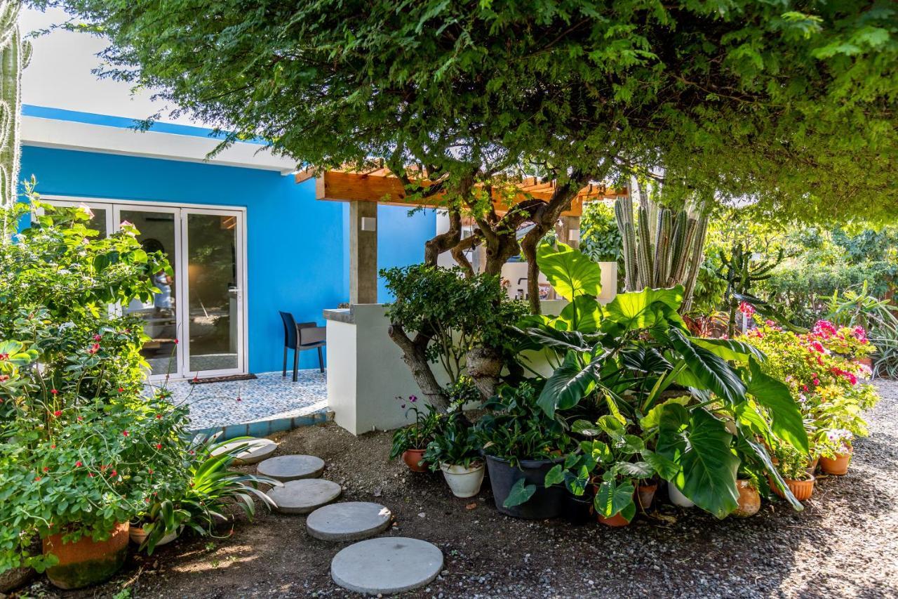 Naima Luxury Home, Cottage & Apartment Rentals Paradera Exterior foto